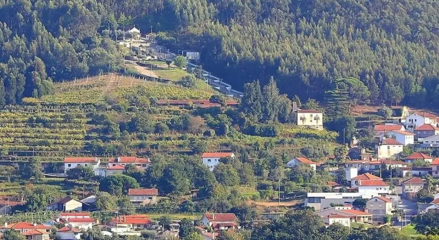 Коттедж 2 Bed House - Sleeps 4 - Pets, Garden, Wifi
