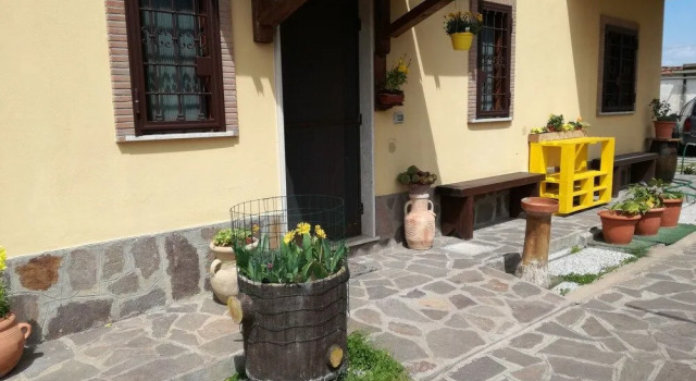 The Yellow House