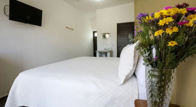 Двухместный номер Economy Hotel Del Mar