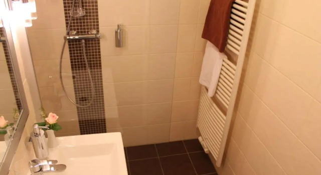 Двухместный номер Standard Hotel Blumlage