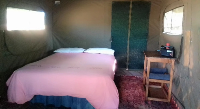 Warthogs Safari Camp