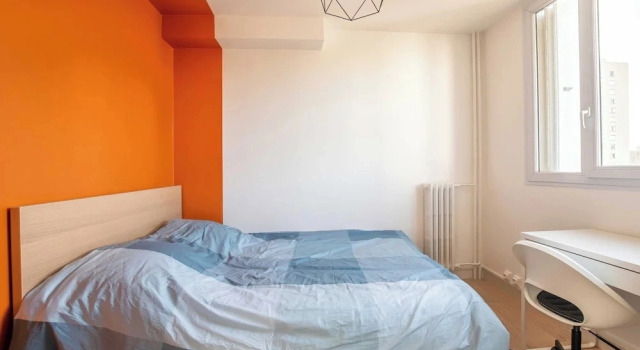 Private Room in a Shared Flat - Lyon 8e