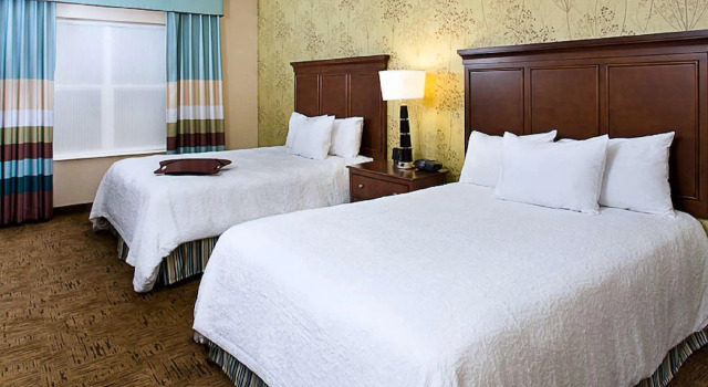 Четырёхместный номер Standard Hampton Inn & Suites Exeter
