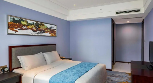 Двухместный номер Standard Novotel Guiyang Panjiang