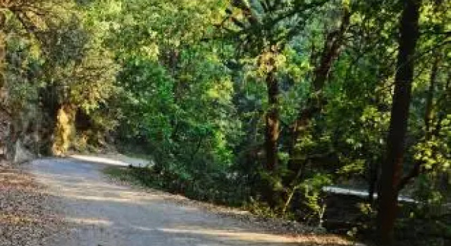 Ojaswi Himalayan Resort Mukteshwar, Varaa Lomakeskus Mukteshwar Uttarakhand
