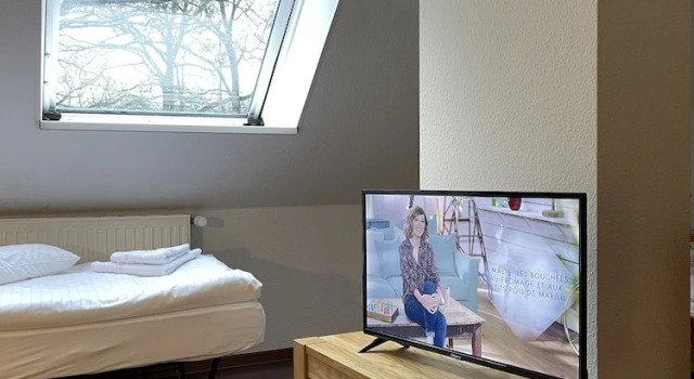 Номер Comfort Hotel Luther Birke Wittenberg