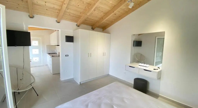 Alexander studio