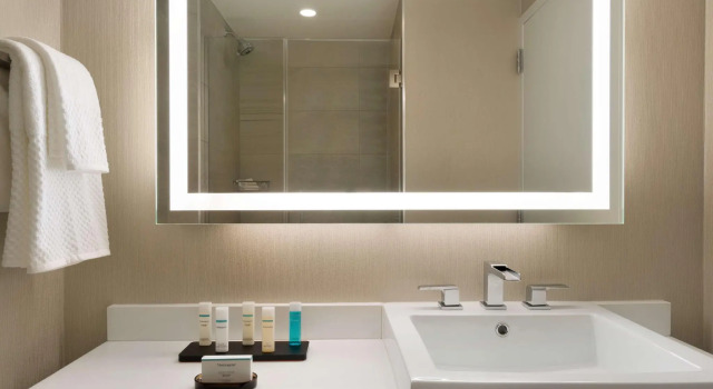 Двухместный номер Newly Renovated Embassy Suites By Hilton New York Manhattan Times Square