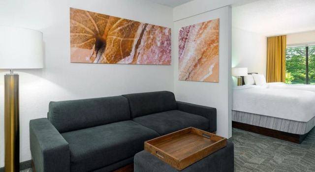 Четырёхместный люкс SpringHill Suites Asheville