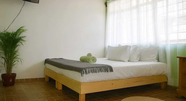 Семейный номер Standard Hostal Alixel Oaxaca