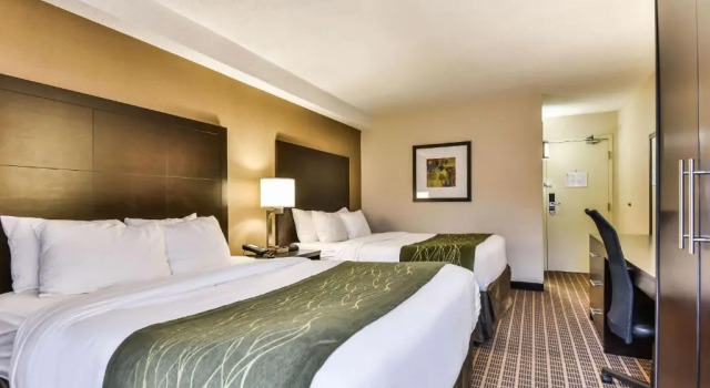 Четырёхместный номер Standard Цокольный этаж Comfort Inn