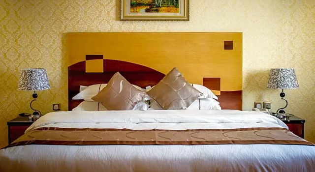 Одноместный люкс Superior Renz Hotel