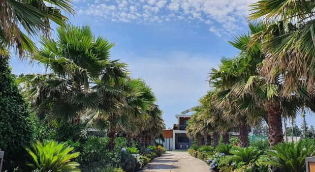 Апартаменты Jeju Twin House