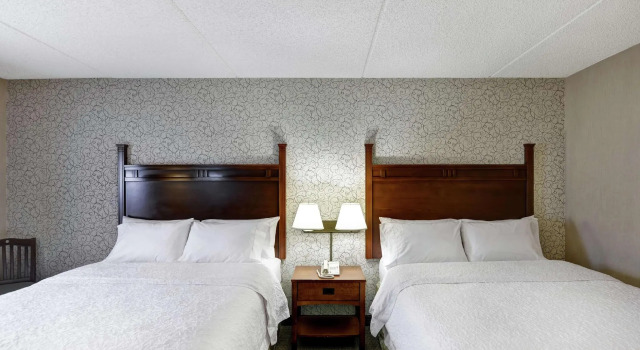 Четырёхместный номер Standard Hampton Inn Bloomsburg