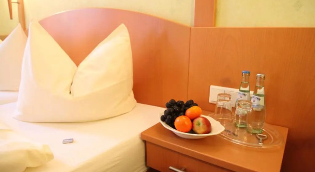 Двухместный номер Standard Hotel Gerwing-Wulf
