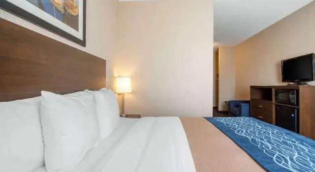 Номер Standard Comfort Inn & Suites