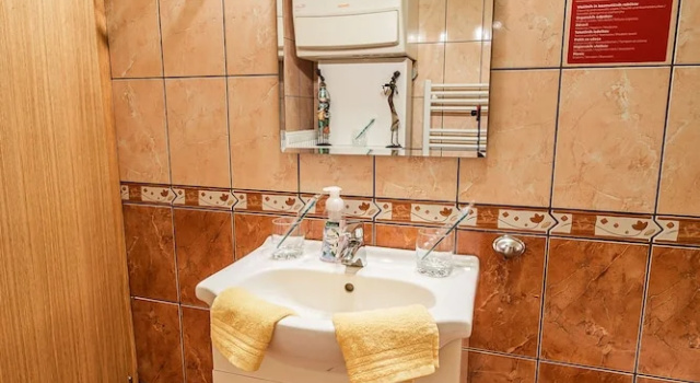 Студия Lux Living Apartments BUDIČ near Terme Čatež