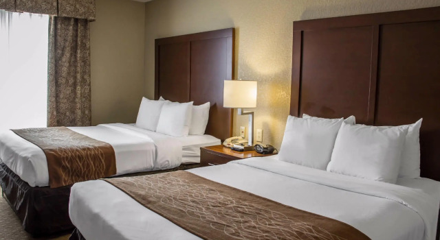 Двухместный люкс Comfort Suites San Antonio SeaWorld - Lackland AFB