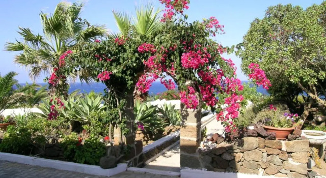 Dammuso Pantesco, Buchen Sie Hotel Hotels in Pantelleria mit Parkplatz, Parkplätze