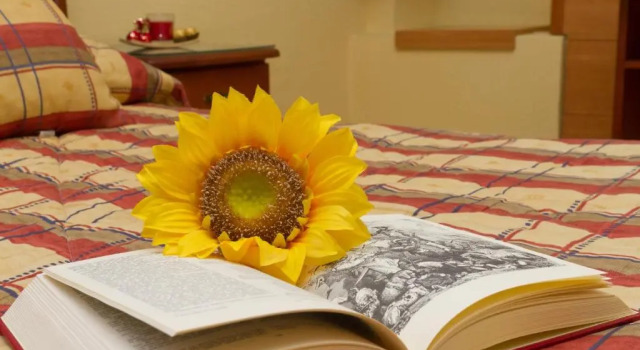 Двухместный номер Standard Hostal Siete Picos
