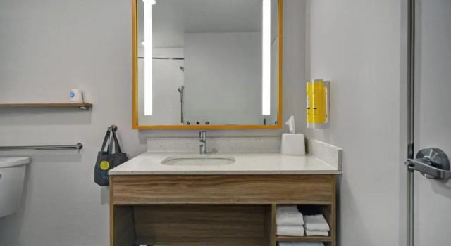 Номер Standard Tru By Hilton Gaylord, Mi