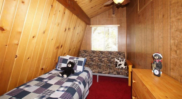 A Sleepy Bear's Hideaway