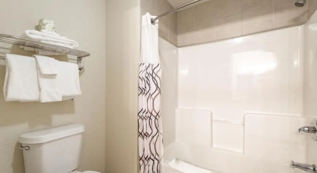 Четырёхместный номер Standard The Branson Waterpark Hotel