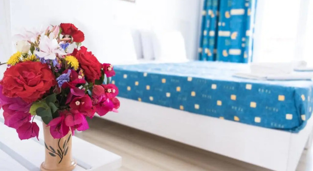 Апартаменты Dimitra Apartments G