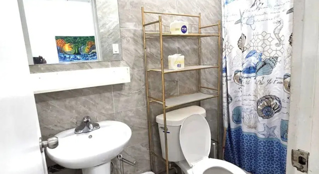Студия Comfort Star of the Olympus