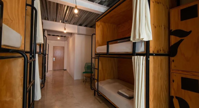 Кровать в общем номере Mayan Monkey Los Cabos - Social Hostel