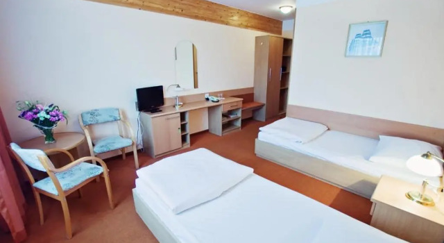 Трёхместный номер Standard Hotel Panorama