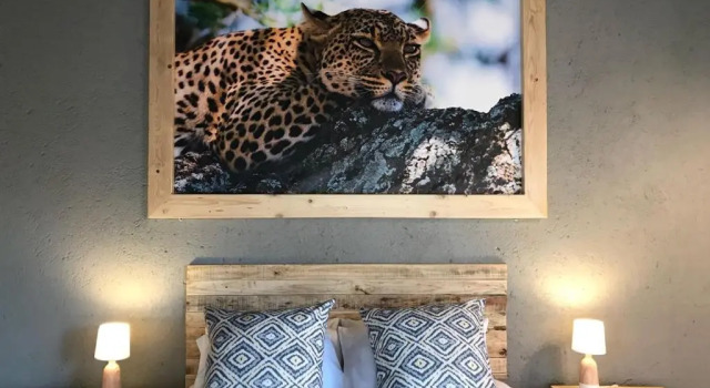 Номер Standard Lindiwe Safari Lodge