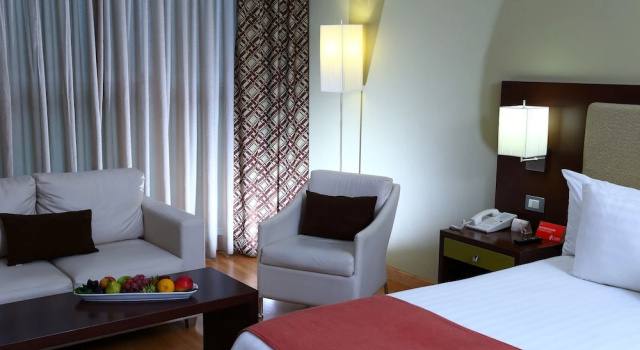 Двухместный полулюкс Hotel Ciudad de David