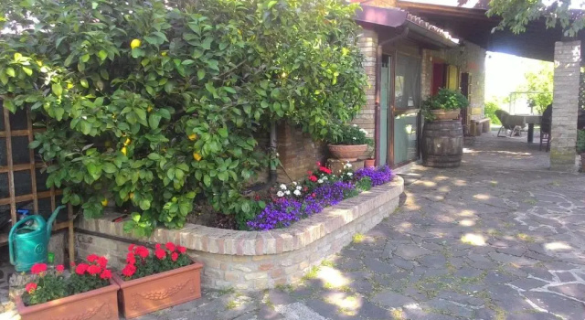 Номер Standard B&B Madonna degli Angeli