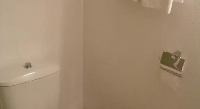 Трёхместный номер Standard Hotel Des Lices - Angers