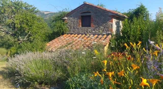 Номер Standard Podere di Maggio - Seccatoio