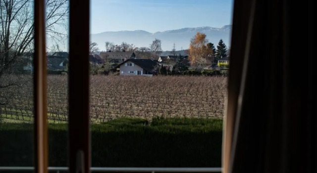 Трёхместный номер Standard с балконом и с красивым видом из окна Motel Le Léman