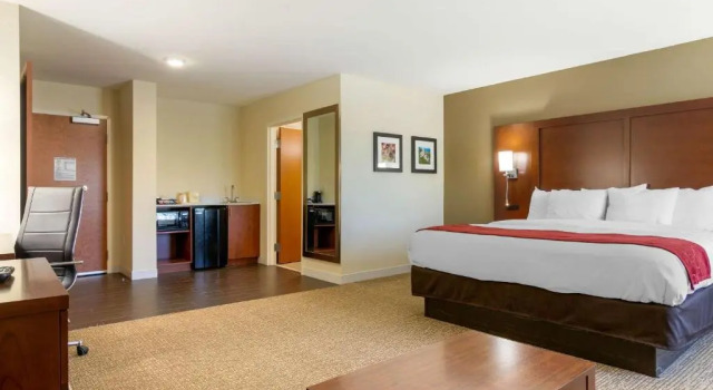 Люкс Comfort Inn & Suites Macon West