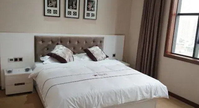 Люкс Business Xinyu Hotel