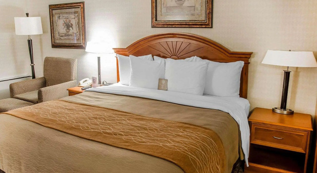 Двухместный номер Standard Spark By Hilton Toronto Markham