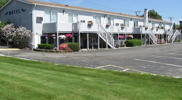 Sea Whale Motel