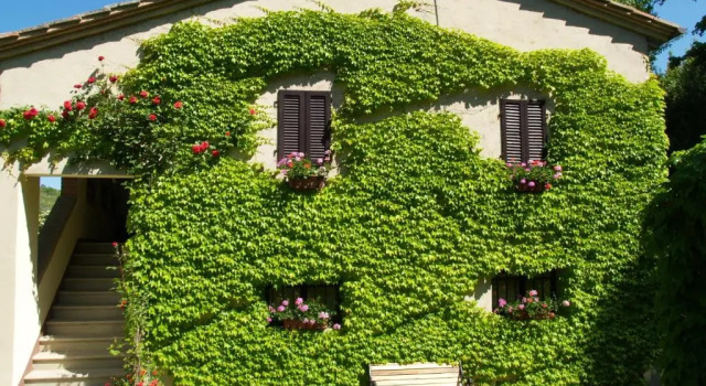 Номер Standard Agriturismo Nobile