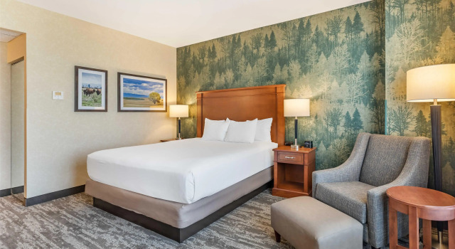Номер Deluxe Drury Plaza Hotel Denver Central Park