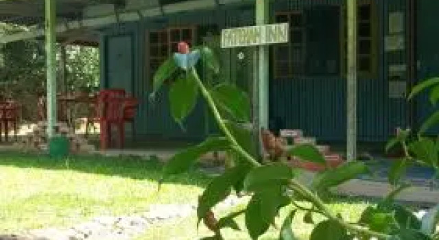 Fatehah Inn, Prenota Hotel Taman Negara Kuala Tahan