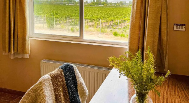 Двухместный номер Standard EcoHotel El Almendro