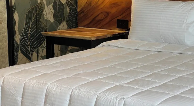 Номер Standard Hotel Zelva Negra