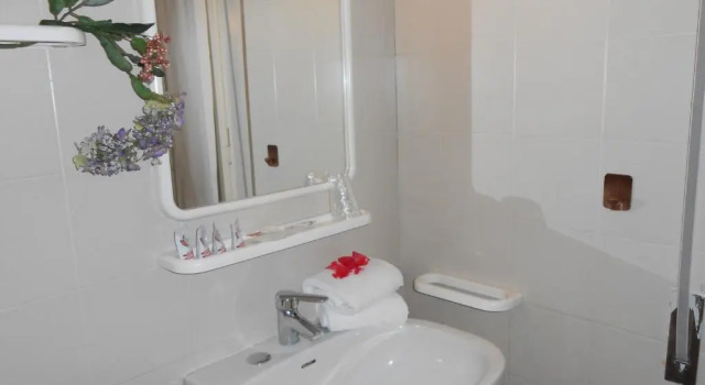 Одноместный номер Standard Hotel New Primula