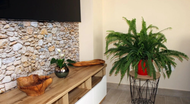 Calypso 2-bedrooms Apartment in Supetar