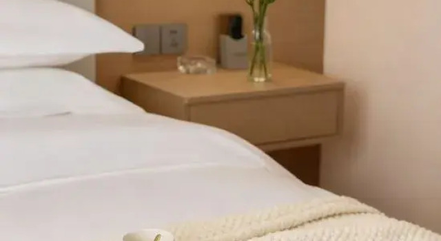 Люкс Luxury Wanduo International Hotel (Shiboyuan)