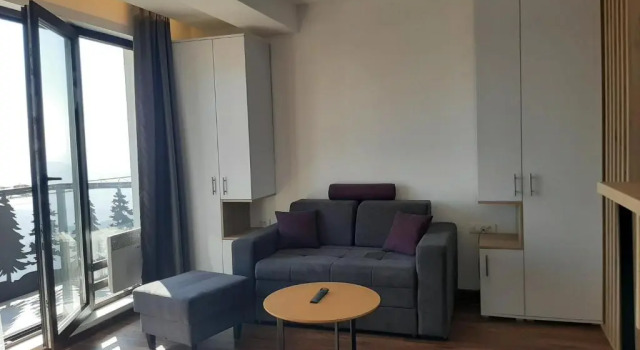 Ariš Kopaonik apartman A21